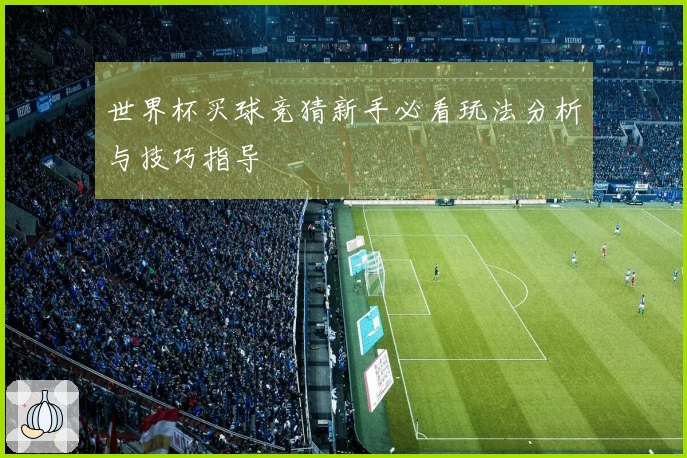 世界杯买球竞猜新手必看玩法分析与技巧指导