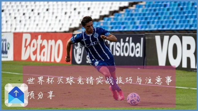 世界杯买球竞猜实战技巧与注意事项分享
