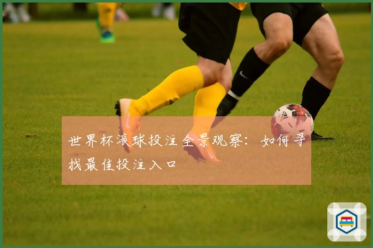 世界杯滚球投注全景观察:如何寻找最佳投注入口