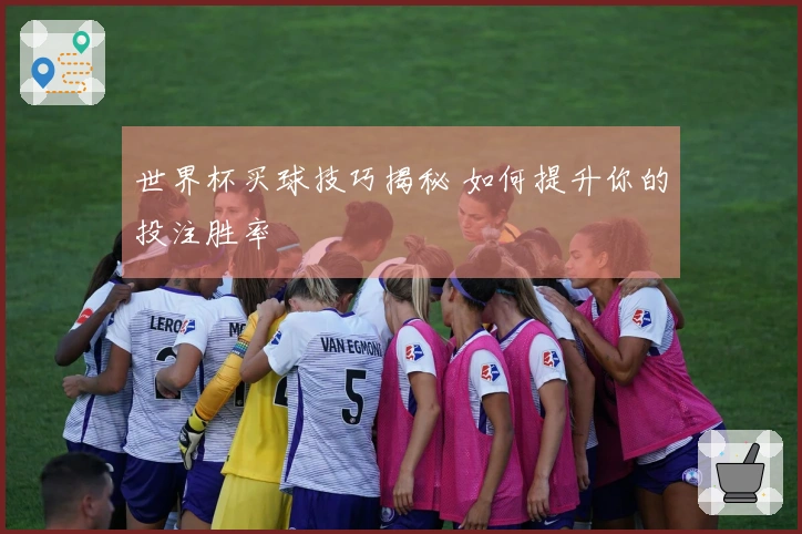 世界杯买球技巧揭秘 如何提升你的投注胜率