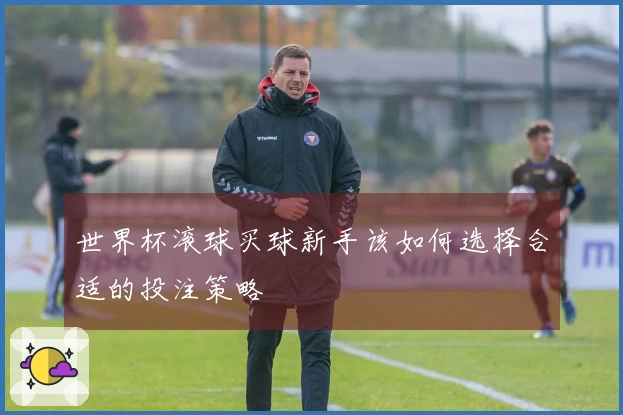 世界杯滚球买球新手该如何选择合适的投注策略