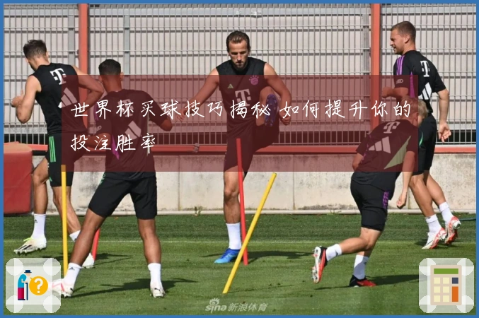 世界杯买球技巧揭秘 如何提升你的投注胜率
