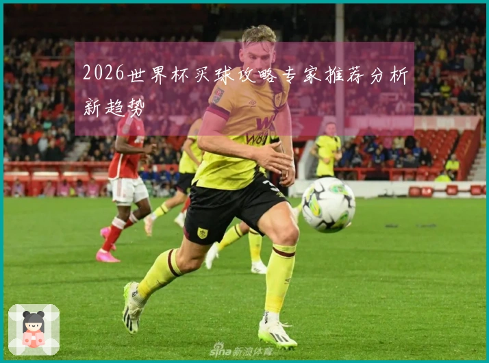 2026世界杯买球攻略专家推荐分析新趋势