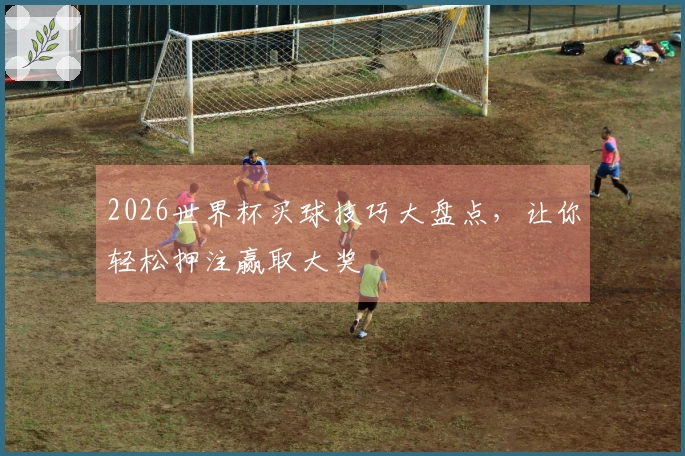 2026世界杯买球技巧大盘点，让你轻松押注赢取大奖